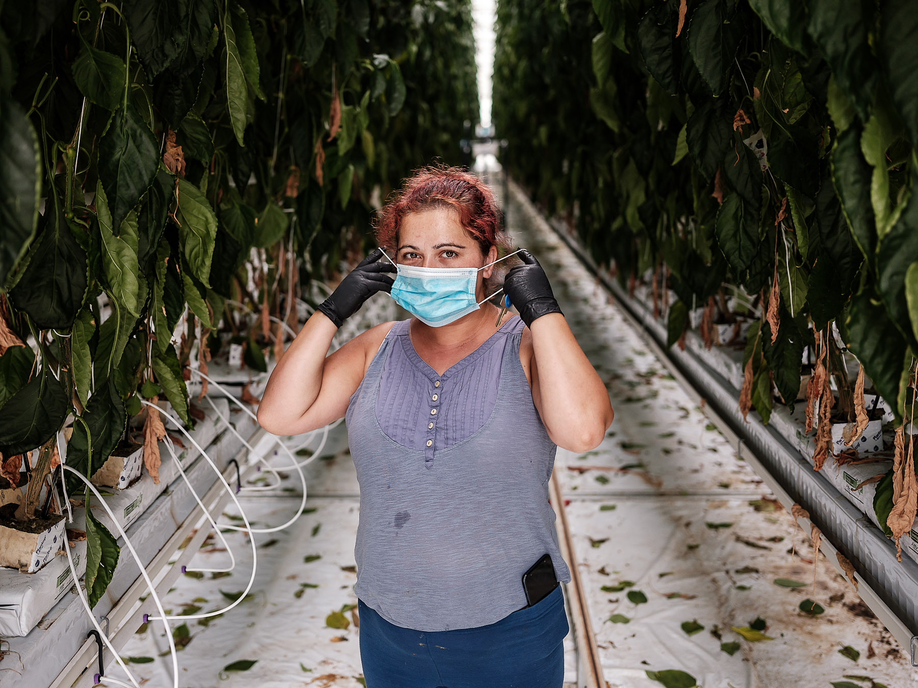 Oana între rândurile de ardei, Nürnberg