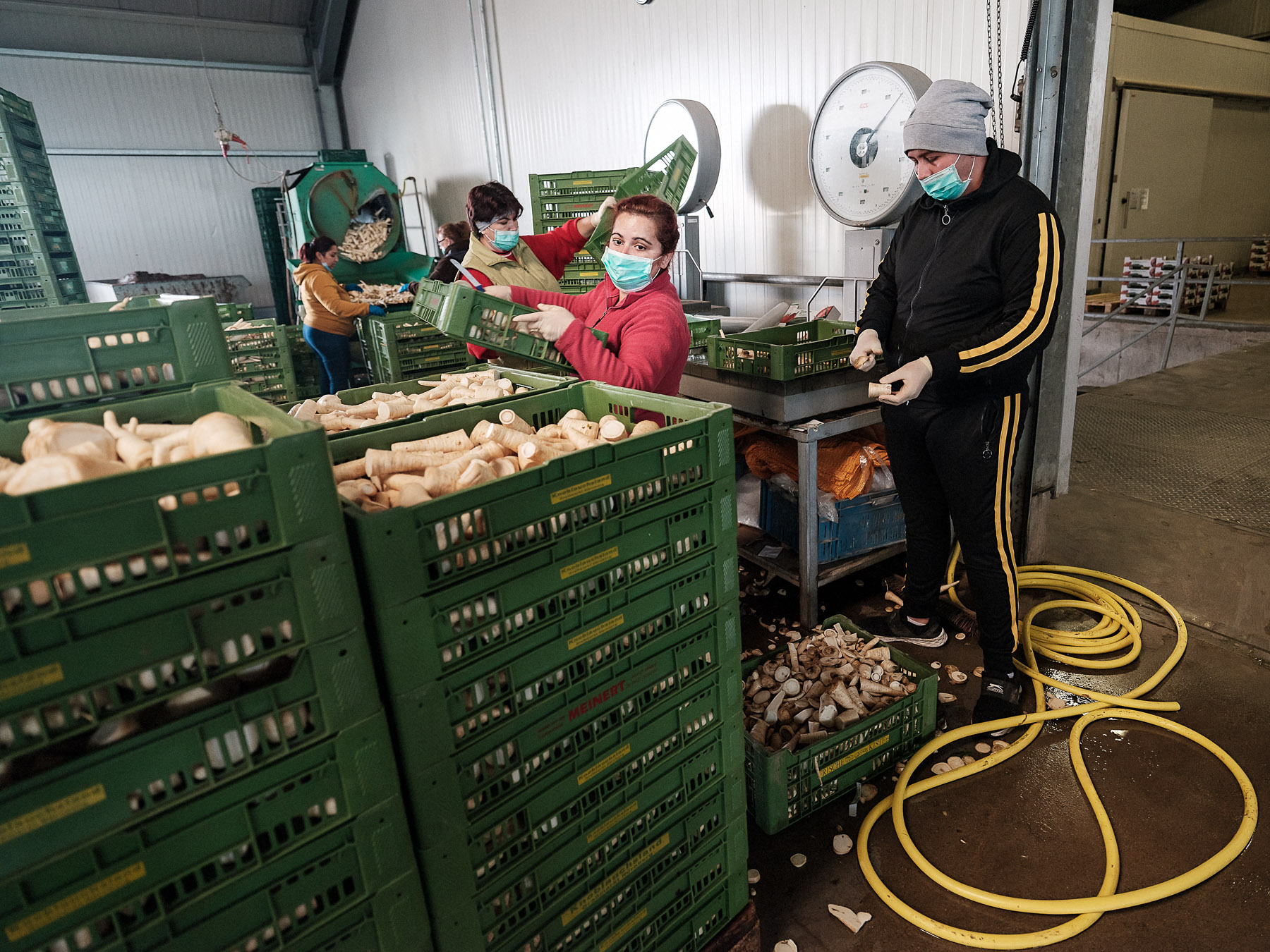 Oana în depozitul de la ferma Höfler Gemüse, Nürnberg