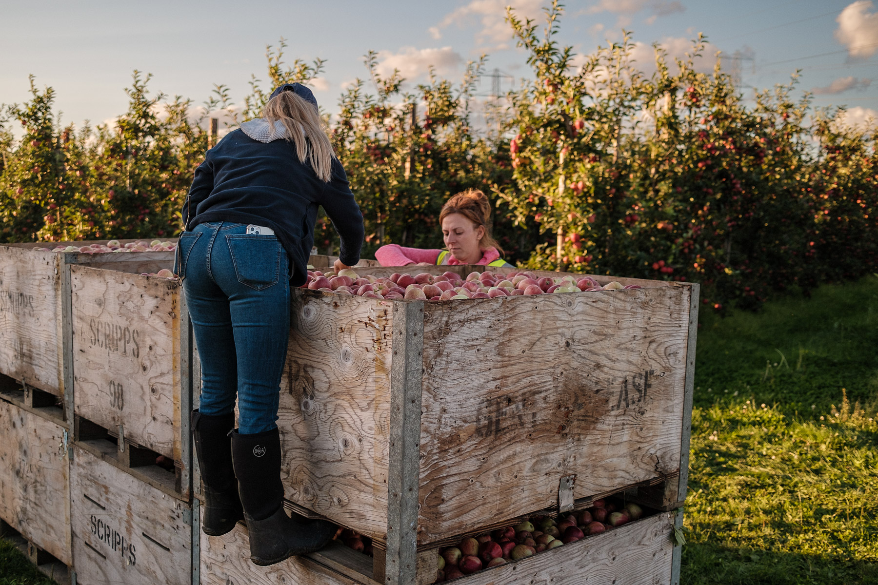 26_2021-09-27-18-02-16