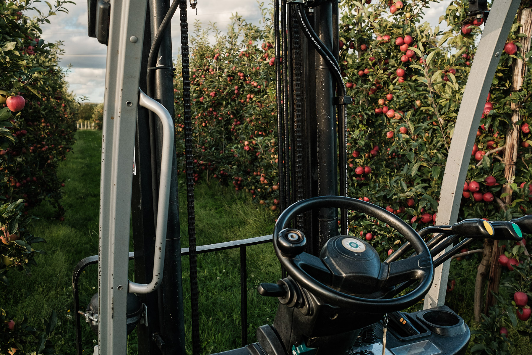 Detaliu în ferma Old Parsonage. Cobham, Kent, septembrie 2021