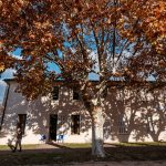 Secția de votare 192 din Marignane, Franța